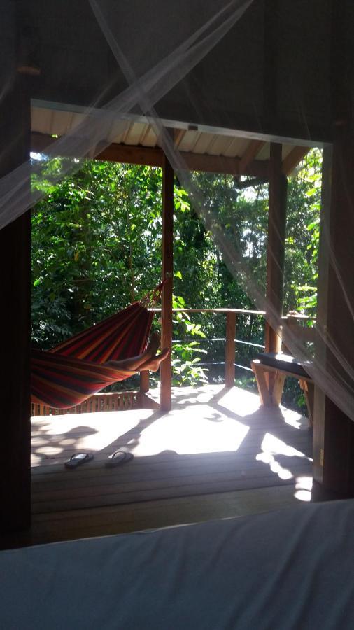 Villa Jungle Paunch Bocas del Toro Exterior foto