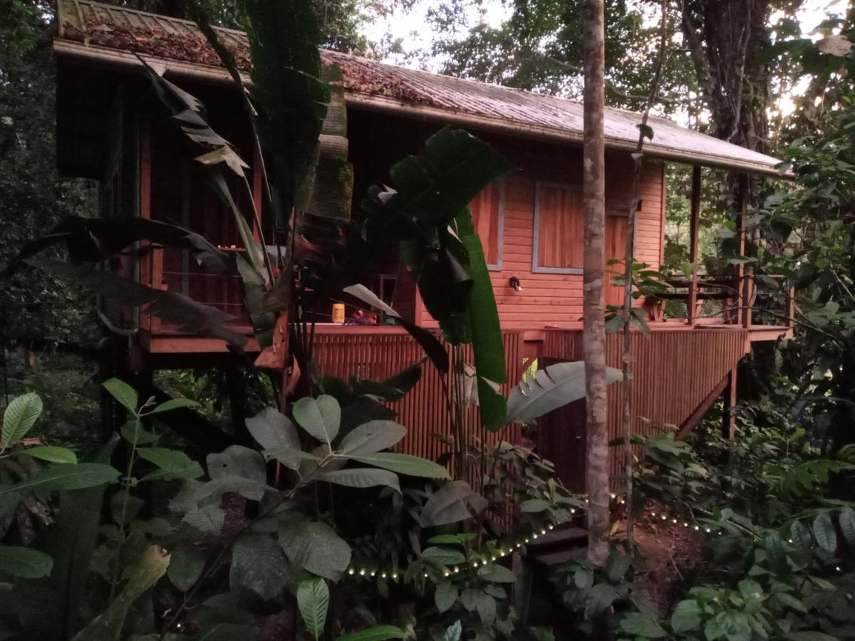 Villa Jungle Paunch Bocas del Toro Exterior foto