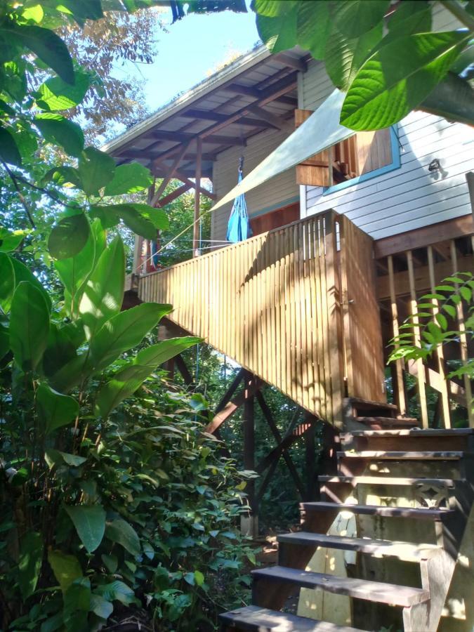 Villa Jungle Paunch Bocas del Toro Exterior foto